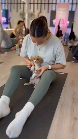 Clase de Puppy Yoga
