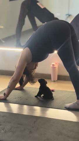 Puppy Yoga