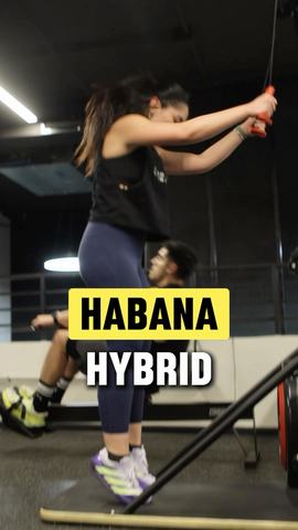 Habana Hybrid - Boxeo y Cardio