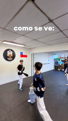 Olympic Dream Taekwondo