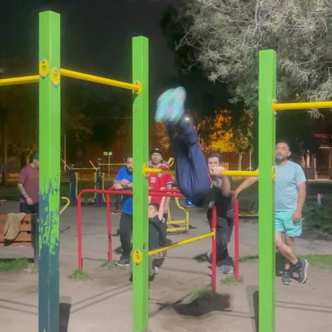 Free Calisthenics Workshop