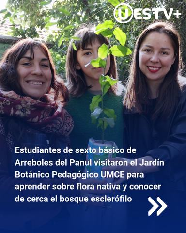 Jornadas de siembra y mantenimiento