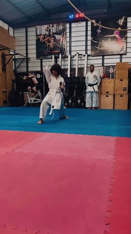 Karate training