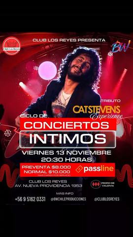 Cat Stevens Experience Tributo