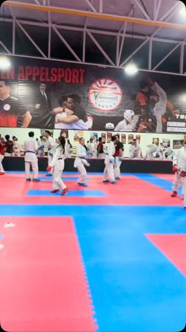 Clases de Karate en Appelsport