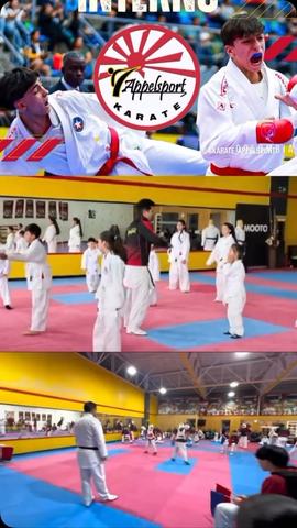 Viernes de Acción Karate Dojo Appelsport