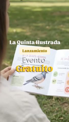 Lanzamiento La Quinta Ilustrada
