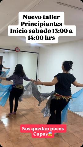 Taller Bellydance Principiantes