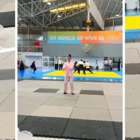Clases de Artes Marciales Chinas Kuoshu Chile