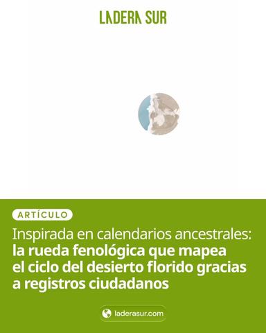 Exhibición Rueda del Desierto