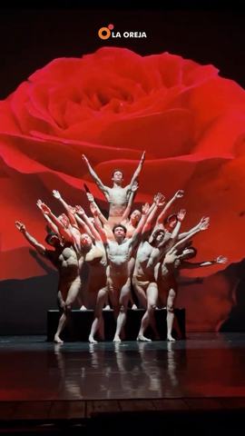 Momix Botánica