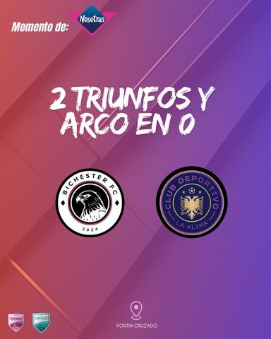 Ligas Femeninas de Fútbol