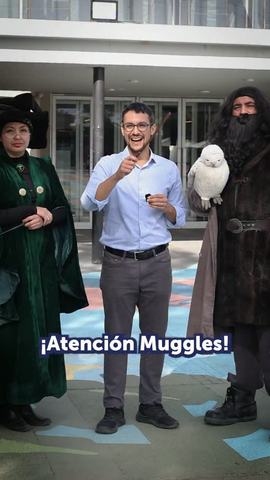 Magical Fest