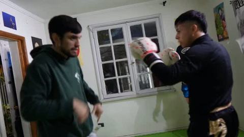 Clases de Boxeo y MMA Magna Combat Sports