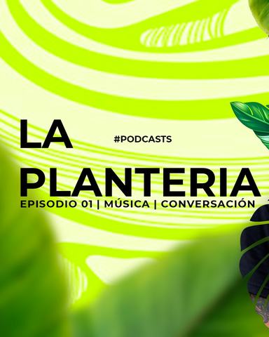 La Plantería: Podcast y Mago Dread en vivo