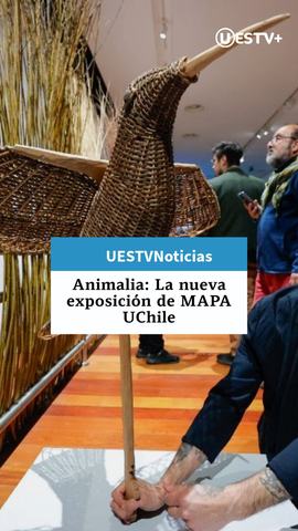 Animalia, exposición MAPA