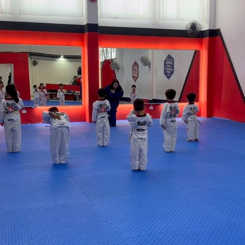 Taekwondo classes for kids