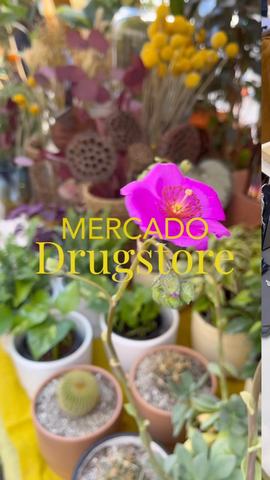 Mercado Drugstore