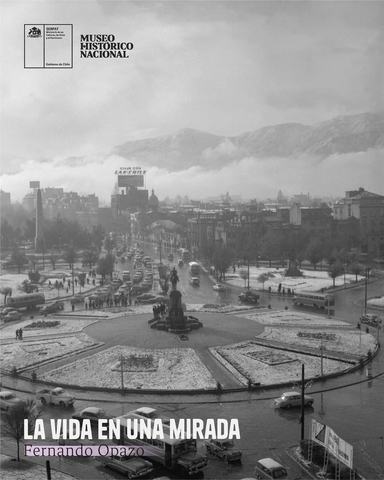 La vida en una mirada. Fernando Opazo