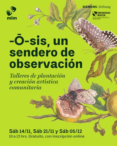 Ō-SIS: Plantación y observación especies