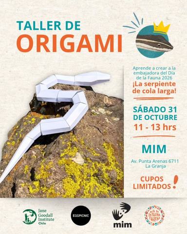 Taller de Origami: Serpiente de Cola Larga