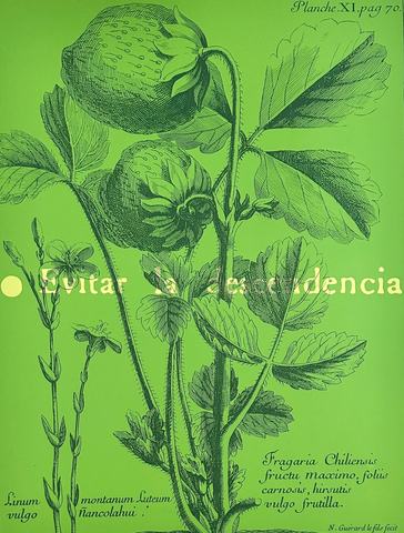 Nosotros los chilenos: archivar para imaginarnos