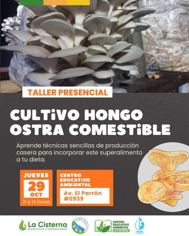 Taller Cultivo Hongo Ostra Comestible