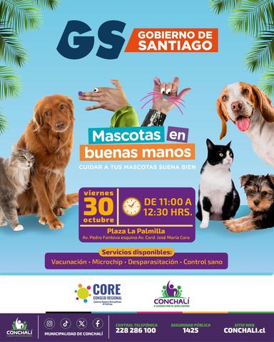 Mascotas en Buenas Manos