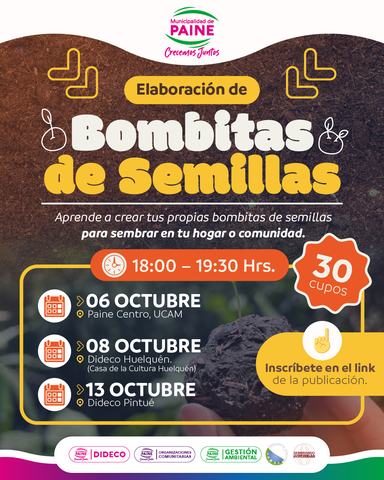 Taller Bombitas de Semillas - Pintue