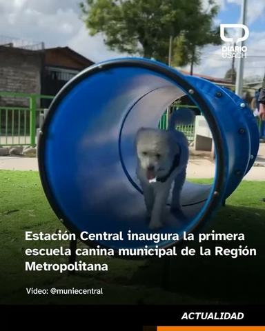 Escuela Canina Municipal Estación Central