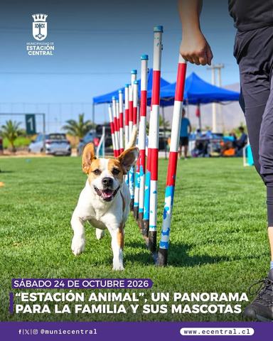 Estación Animal: Jornada para Mascotas