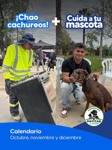 Operativo Chao Cachureos Huechuraba