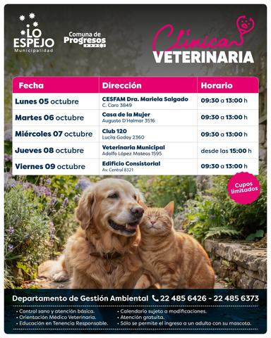 Veterinaria Móvil - Edificio Consistorial