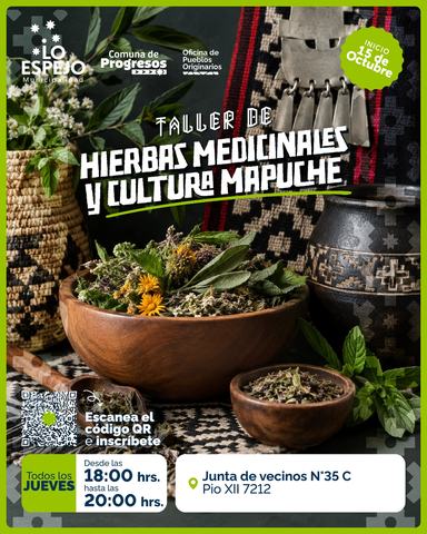 Taller de Hierbas Medicinales y Cultura Mapuche