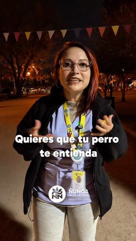 Taller de adiestramiento canino