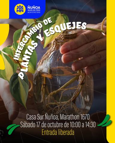 Intercambio de Plantas y Esquejes