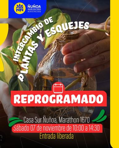 Intercambio de Plantas y Esquejes