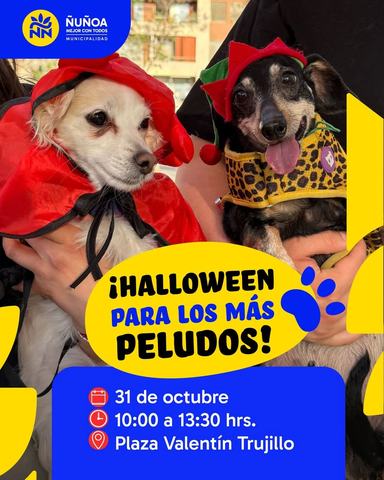 Halloween para los más peludos