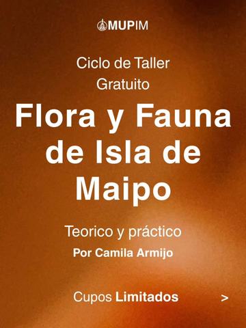 Taller Flora y Fauna de Isla de Maipo