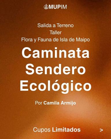 Salida a terreno: Taller Flora y Fauna de Isla de Maipo