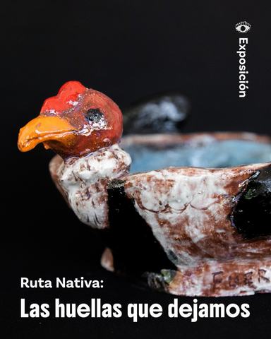 Muestra: Ruta Nativa