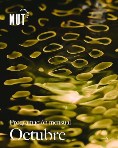 Taller Mes de la Música: Ukelele de cero