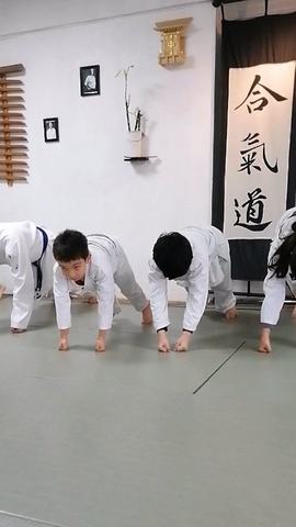 Clases de Aikido para Niños