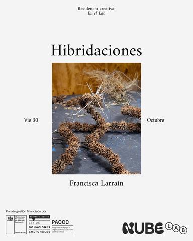 Hibridaciones - Francisca Larraín