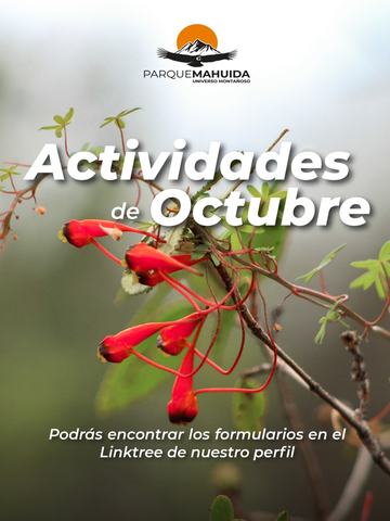 Trekking Guayacán