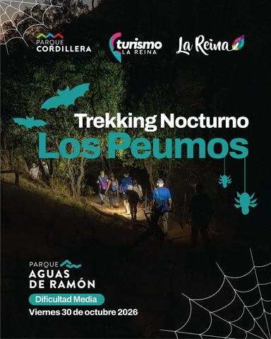 Trekking Nocturno Los Peumos