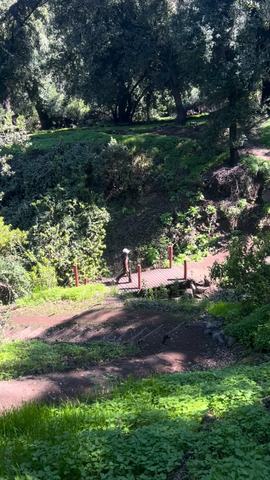 Sendero El Manzano