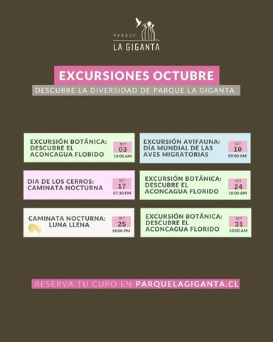 Night Hike: Full Moon at La Giganta