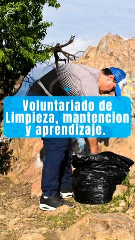 Voluntariado Cerro La Ballena