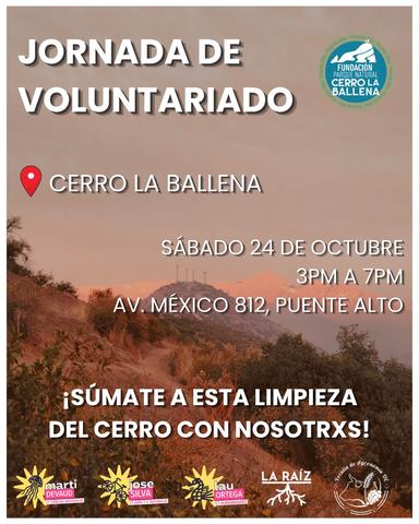 Jornada de Voluntariado Cerro La Ballena